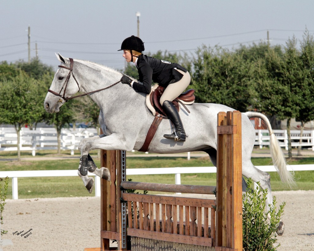 Riding Lessons – Houston Polo Club