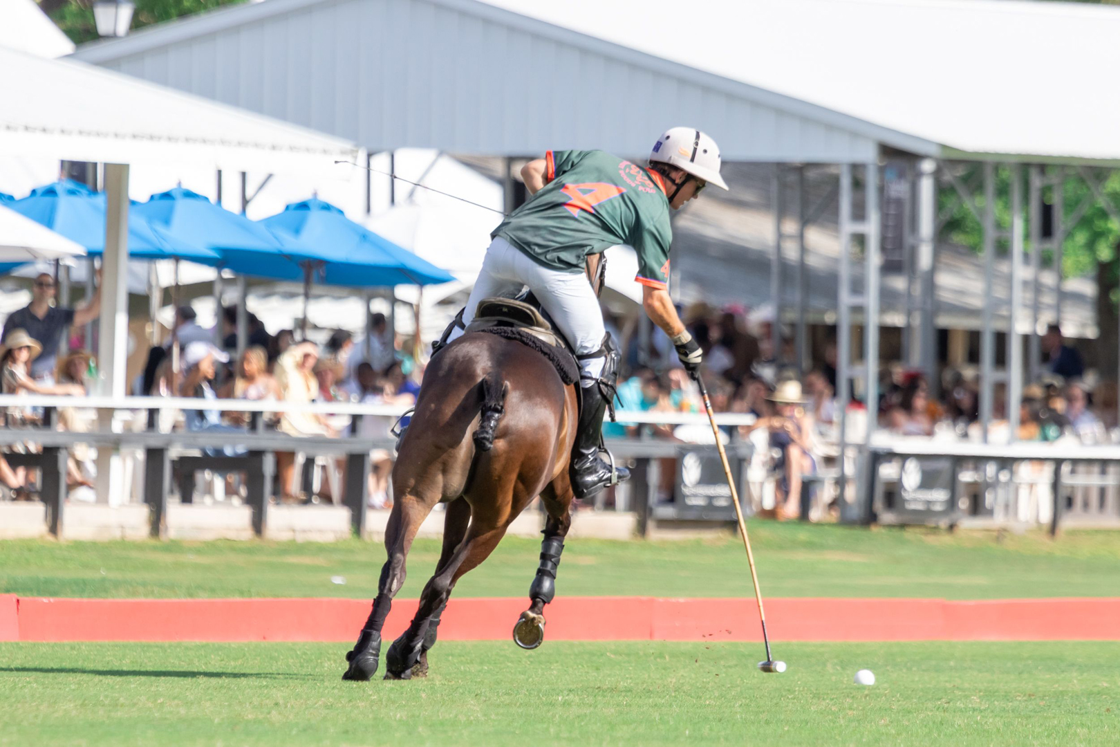 sachin and babi light blue dress FAQs – Houston Polo Club